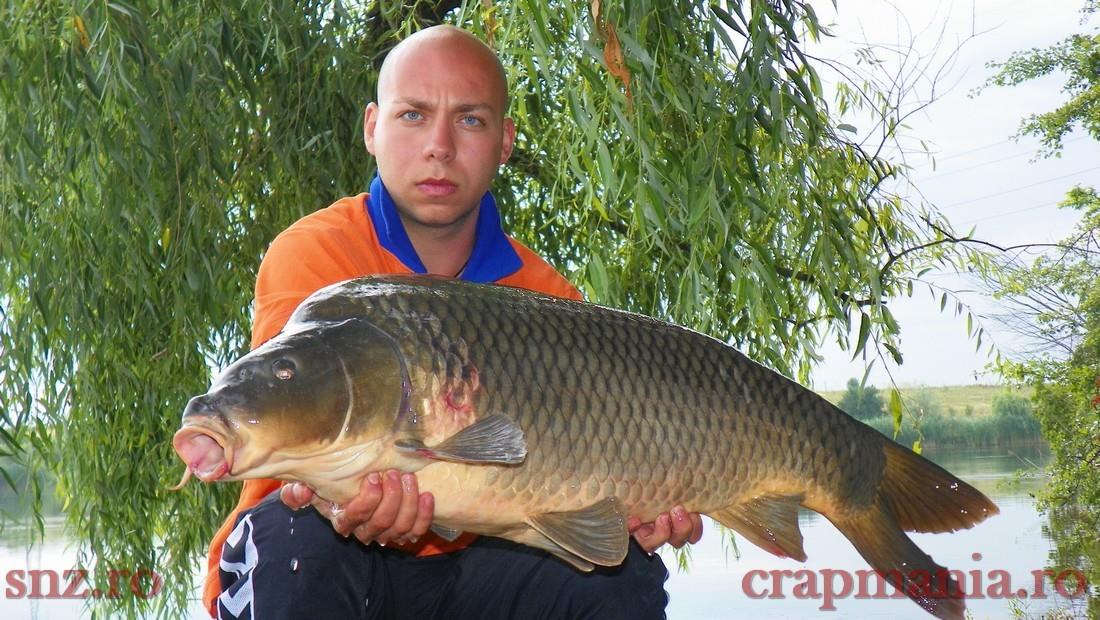 Diverse Partide - trophy1.jpg